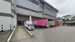 Logistech (D17), Warehouse #478503041